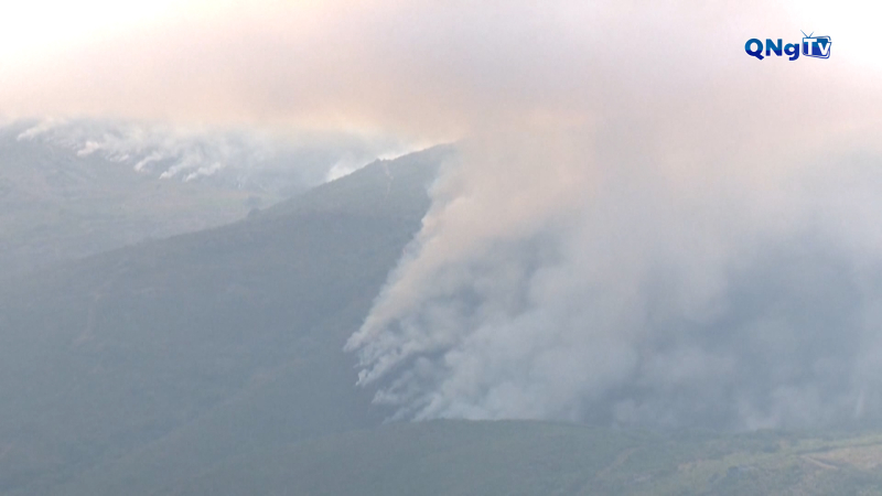 Cháy rừng thiêu rụi hơn 01 triệu ha đất của EU