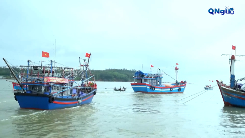 Quảng Ng&atilde;i hiện đại t&agrave;u c&aacute;, vươn ra biển lớn