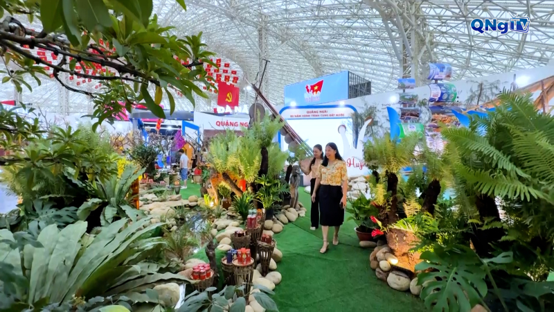Ấn tượng không gian trưng bày “Quảng Ngãi - Cội nguồn cách mạng, vững bước tương lai” 