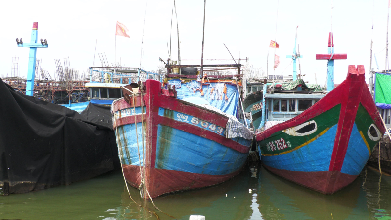 X&atilde; Vạn Tường c&oacute; 17 t&agrave;u c&aacute; nguy cơ cao vi phạm IUU