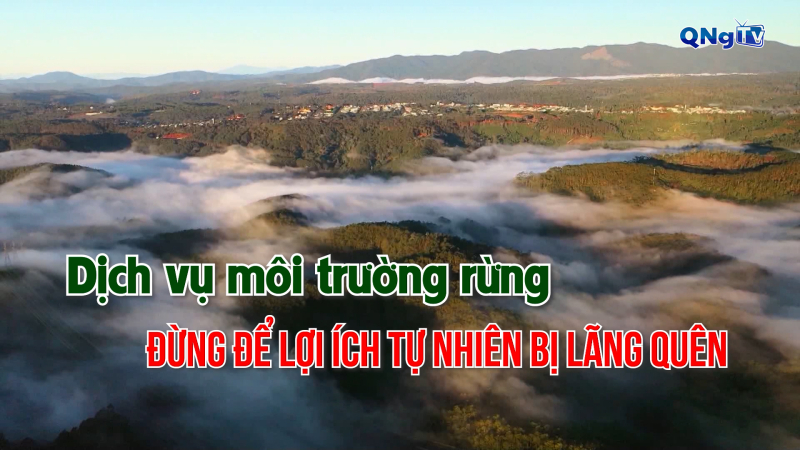 Dịch vụ môi trường rừng – Đừng để lợi ích tự nhiên bị lãng quên