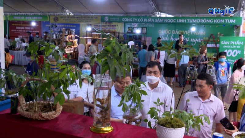 Chỉ thị phân tử - Chìa khóa nhận diện Sâm Ngọc Linh chuẩn