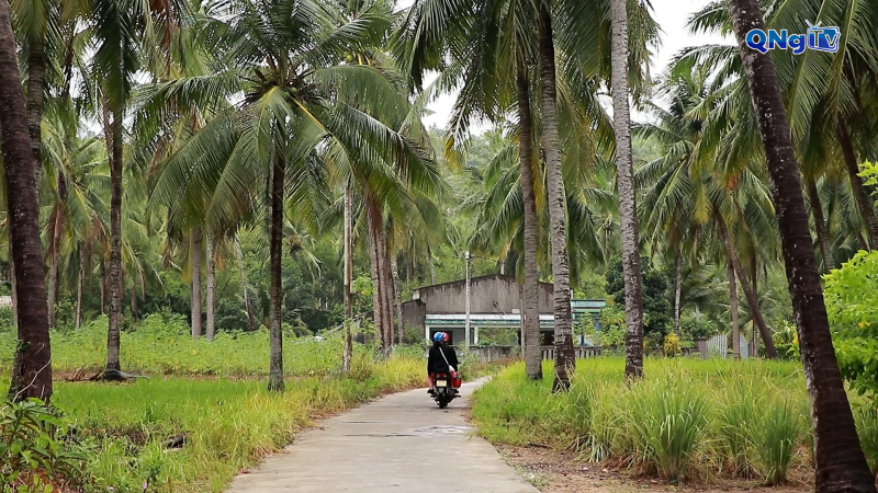 Vĩnh Tuy, làng quê dưới bóng dừa