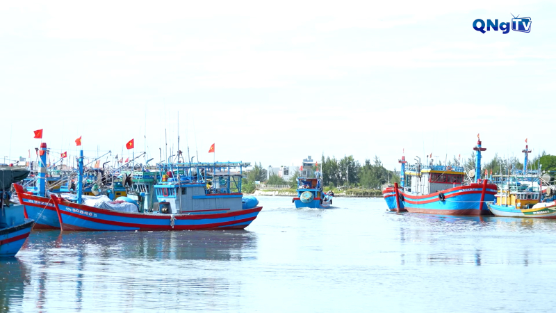 Nghiệp đoàn nghề cá tạo sự chuyển biến trong chống khai thác IUU