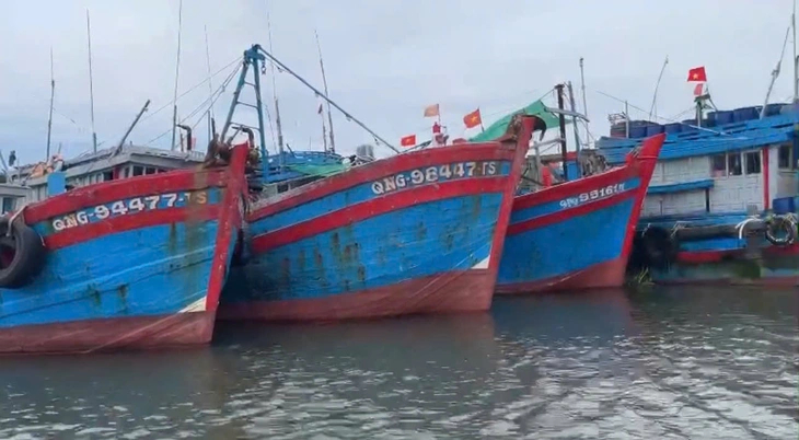 Các tàu cá bị phạt cùng những lỗi vi phạm liên quan chống khai thác bất hợp pháp - Ảnh: TRẦN MAI