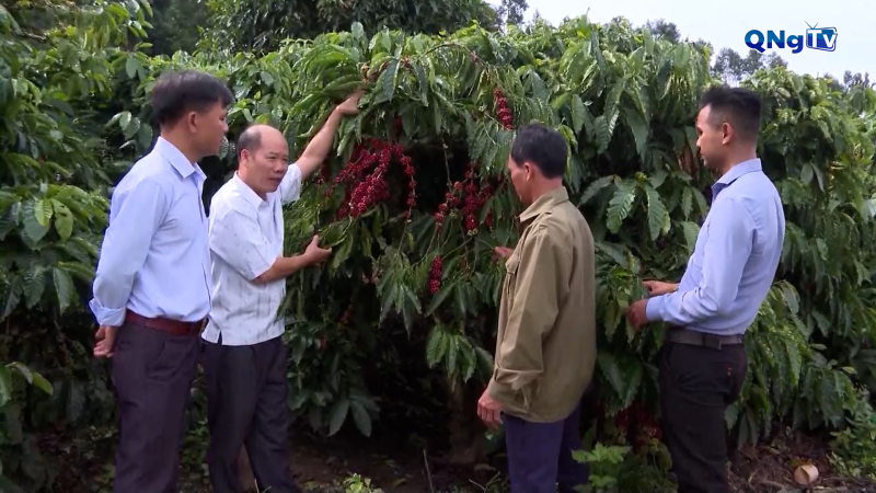 Dấu ấn từ đổi mới nông nghiệp, nông thôn