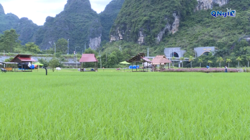 Trung Quốc phát triển du lịch nông thôn gắn với xây dựng nông thôn xanh