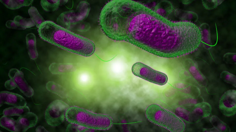 Bộ Y tế khuyến cáo phòng ngừa bệnh tả