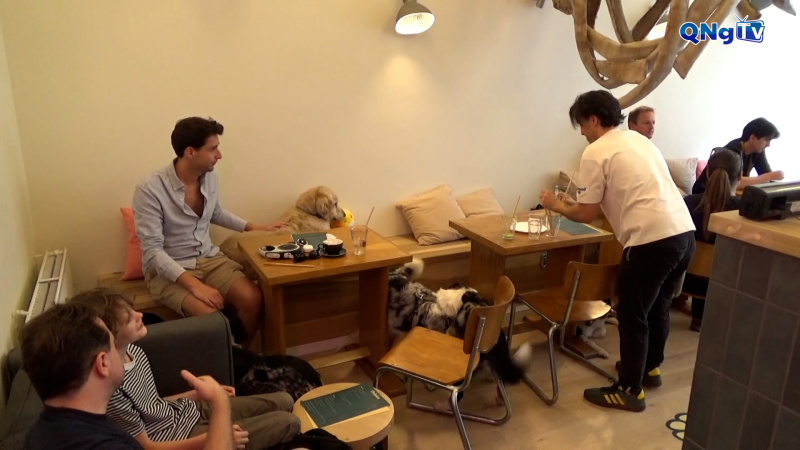 Điểm hẹn mới của những người yêu thú cưng ở Bruxelles