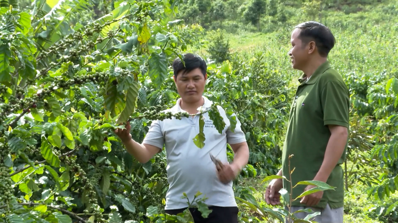 Hội viên nông dân gương mẫu trong xây dựng nông thôn mới