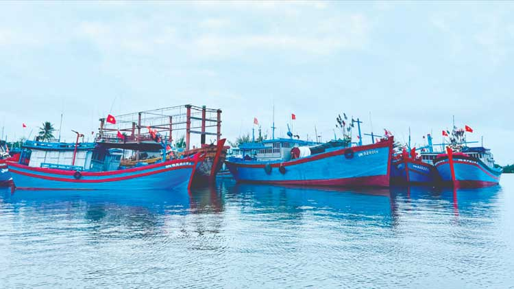 Hơn 4.300 tỷ đồng hỗ trợ cho ngư dân theo Quyết định 48 