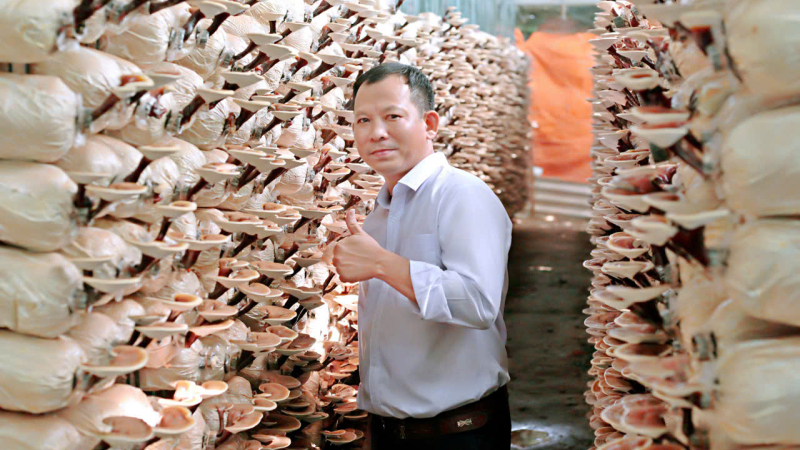 Cô gái làm dầu gội đầu OCOP 3 sao từ nước bồ kết mẹ nấu