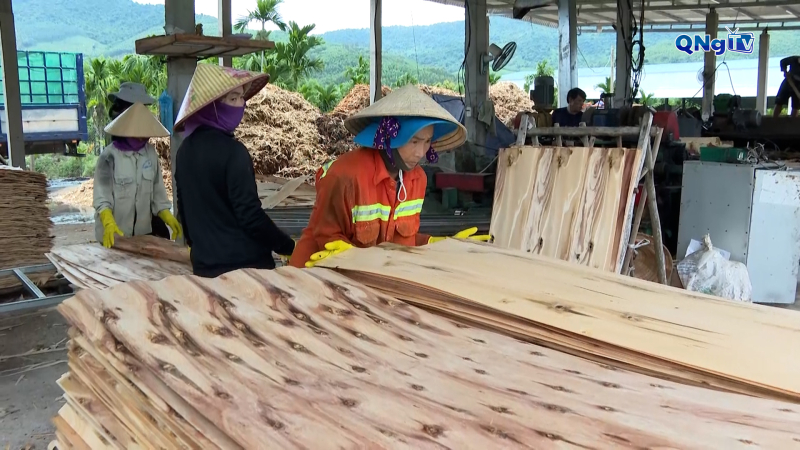 Nâng cao hiệu quả kinh tế sau trồng rừng từ xưởng ván lạng
