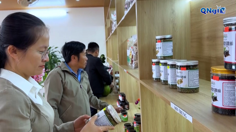 Quảng Ngãi ưu tiên mục tiêu phát triển khu vực kinh tế tư nhân