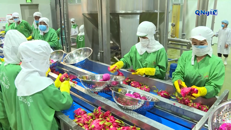 Xuất khẩu rau quả tăng trưởng mạnh