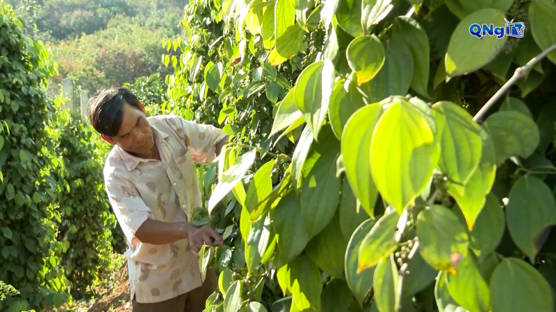 Nông dân xã biên giới Bờ Y thi đua sản xuất, kinh doanh giỏi