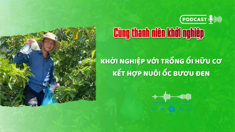 Quả ngọt từ niềm tin và sự kiên trì