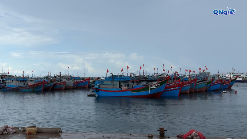 Đặc khu Lý Sơn kêu gọi tàu thuyền tránh bão