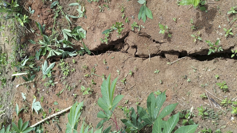 Xuất hiện vết nứt trên đồi, khẩn cấp di dời dân