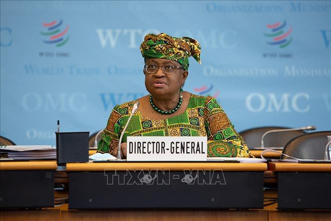 vna,potal,tan,tong,giam,doc,wto,ngozi,okonjo,iweala,bat,dau,ngay,lam,viec,dau,tien,stand,16021509.jpg