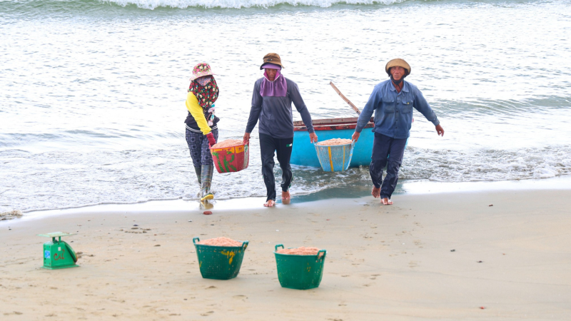 Ngư dân trúng đậm mùa ruốc