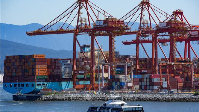WTO dự báo tăng trưởng kinh tế toàn cầu 