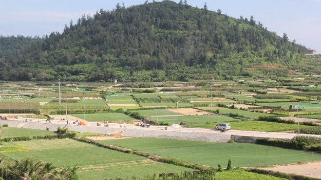 Chuyển 2,8ha đất trồng tỏi ở Lý Sơn sang làm du lịch