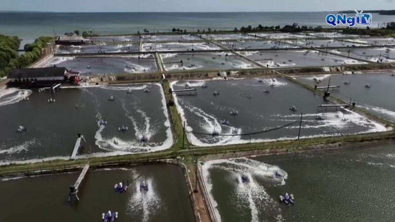 Nhật Bản cảnh gi&aacute;c trước thực phẩm c&oacute; nguy cơ nhiễm ph&oacute;ng xạ