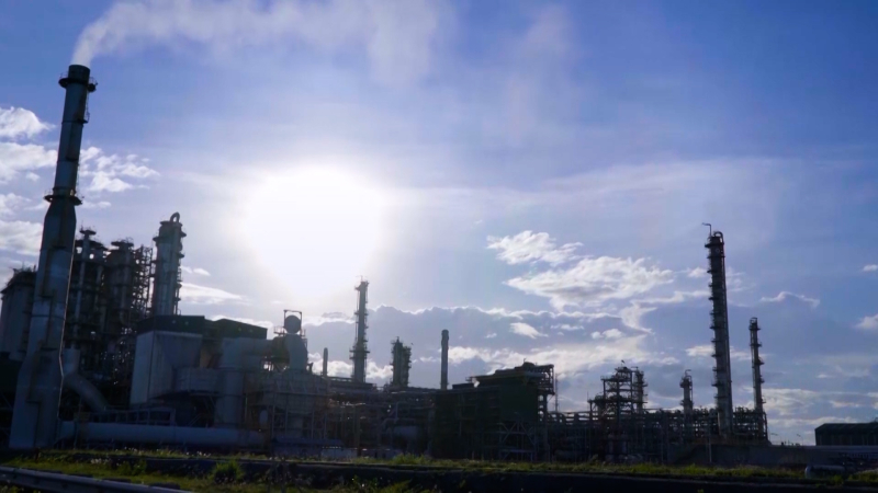 BSR chia cổ phiếu thưởng tỷ lệ 61,5%