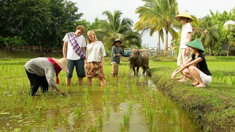 Cả nước có hơn 600 mô hình du lịch nông nghiệp