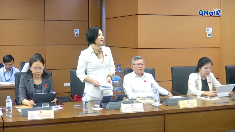 Đại biểu Quốc hội tỉnh Quảng Ngãi thảo luận kinh tế - xã hội năm 2025