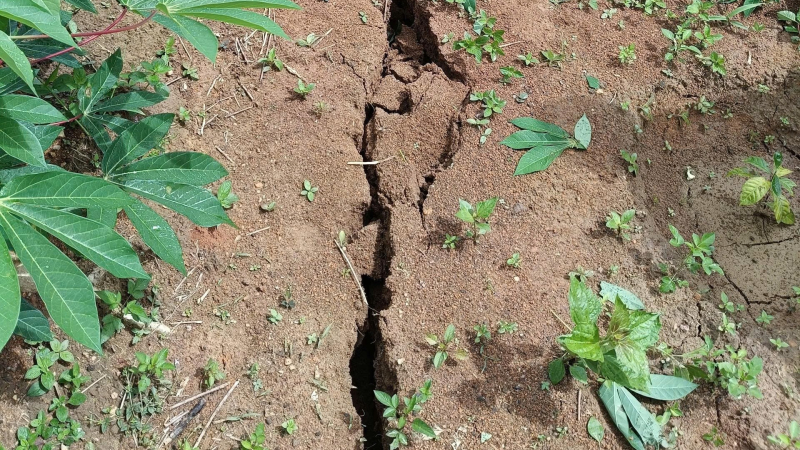 Quảng Ngãi cảnh báo loạt điểm có nguy cơ sạt lở núi đe dọa hàng trăm hộ dân