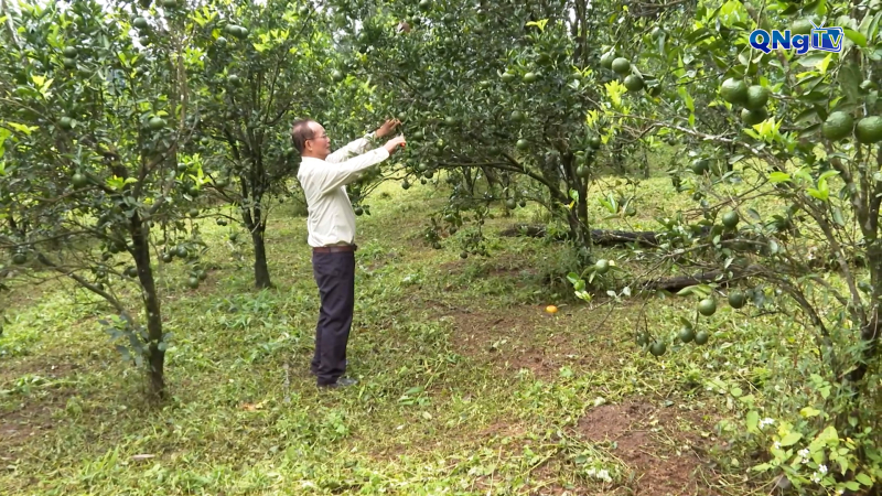 Ngành nông nghiệp đạt nhiều kết quả quan trọng trong 9 tháng