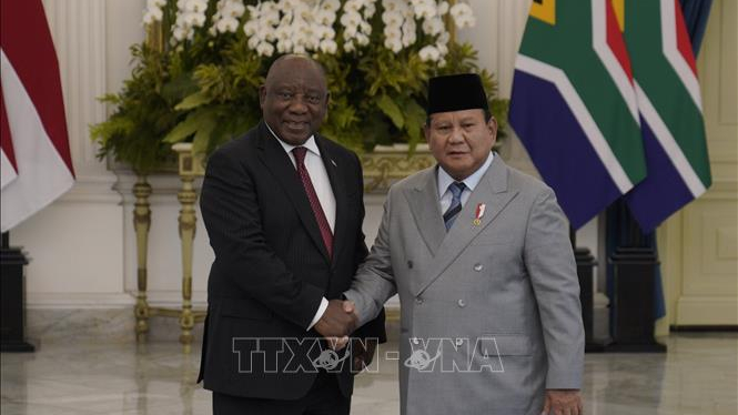 Indonesia v&agrave; Nam Phi khơi dậy tinh thần hợp t&aacute;c &Aacute; - Phi