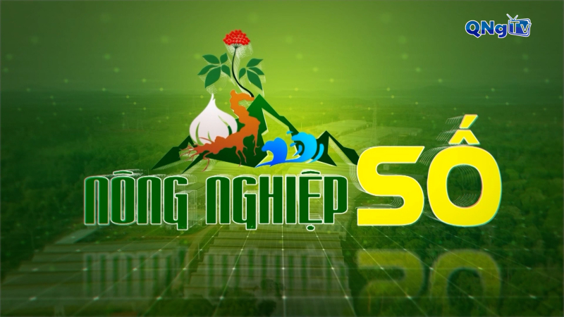 Truyền th&ocirc;ng số trong chuỗi sản xuất n&ocirc;ng nghiệp tại Quảng Ng&atilde;i