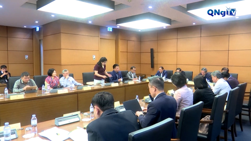 Đo&agrave;n Đại biểu Quốc hội tỉnh Quảng Ng&atilde;i g&oacute;p &yacute; c&aacute;c dự &aacute;n luật