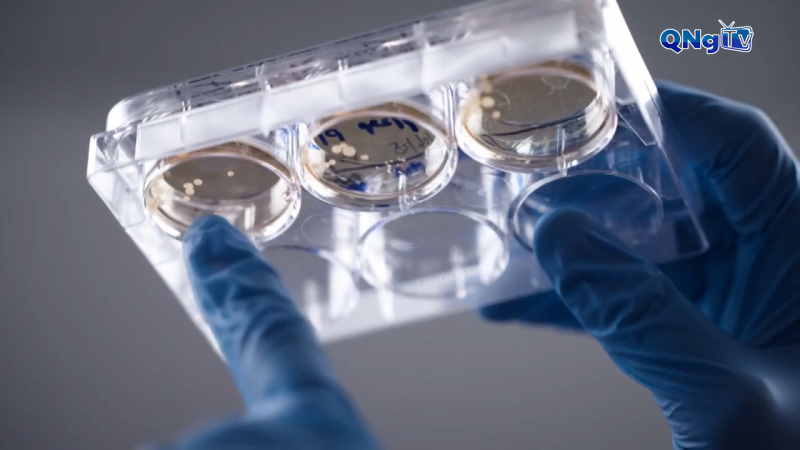 Vaccine mRNA có thể giúp kéo dài tuổi thọ bệnh nhân ung thư