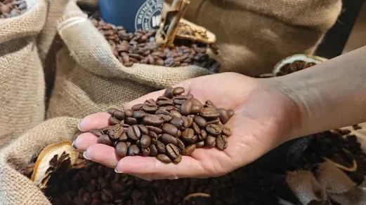 Xuất khẩu cà phê lập kỷ lục mới