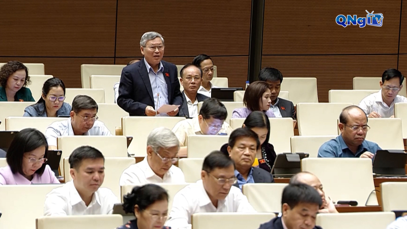 Đại biểu Quốc hội tỉnh Quảng Ngãi tham gia thảo luận tại hội trường