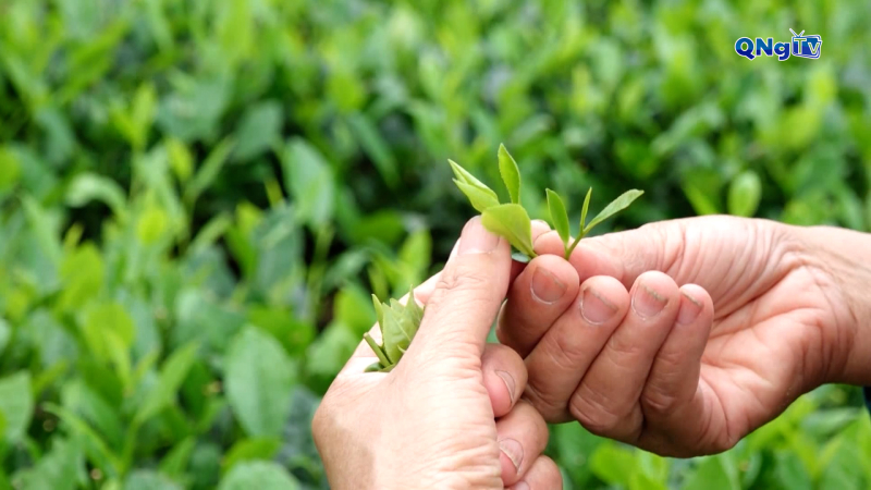 Nông nghiệp tuần hoàn gắn với du lịch trải nghiệm ở nông thôn