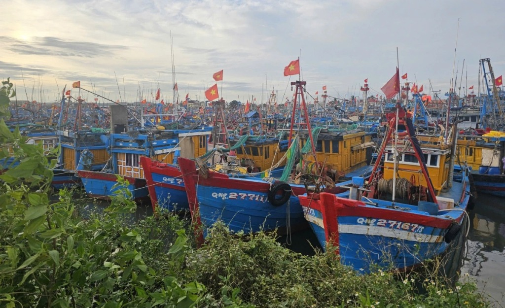 Tàu thuyền neo đậu tại cảng cá Tịnh Hòa, xã Đông Sơn, tỉnh Quảng Ngãi.