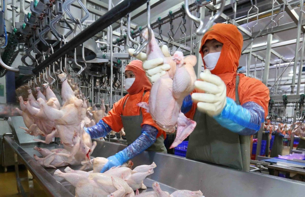 Dồi dào nguồn cung thịt, trứng đáp ứng nhu cầu dịp Tết 2026. Ảnh: Chu Khôi.