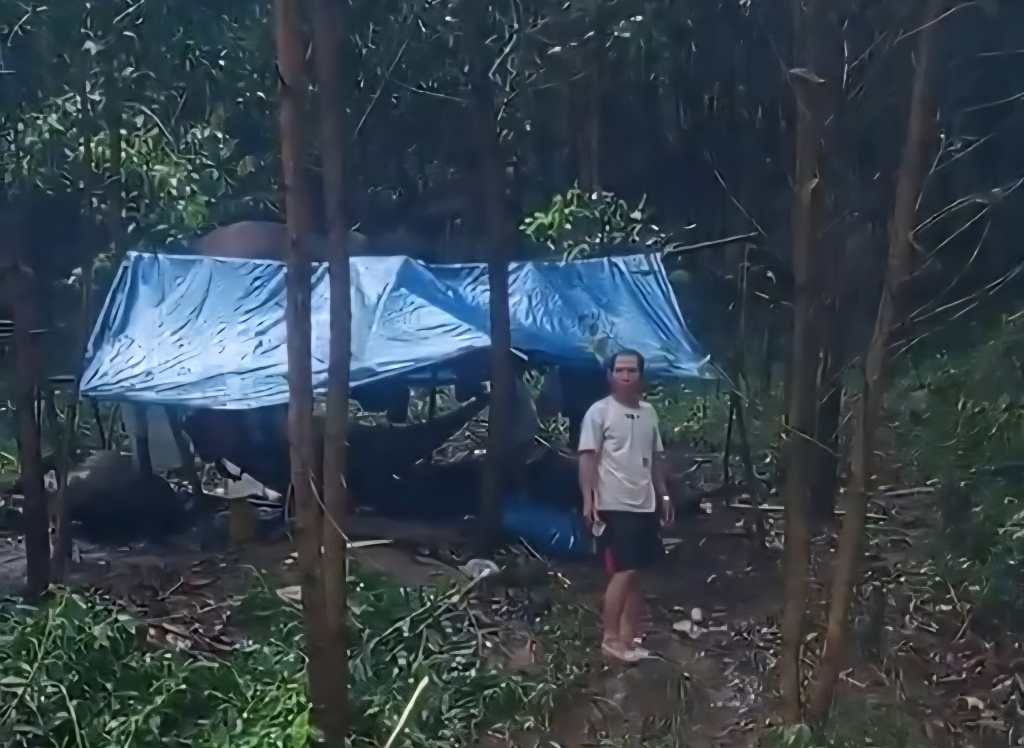 Nhóm công dân tỉnh Quảng Ngãi đi làm thuê bị cô lập giữa rừng ở tỉnh Khánh Hoà do nước lũ bao vây.