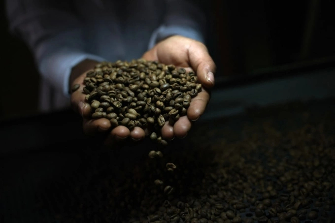 coffee,bean,brazil,reuters,176,8339,5915,1763687841,13182723.jpg