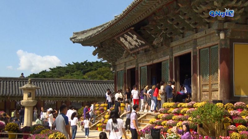 Thế giới tối 31/10