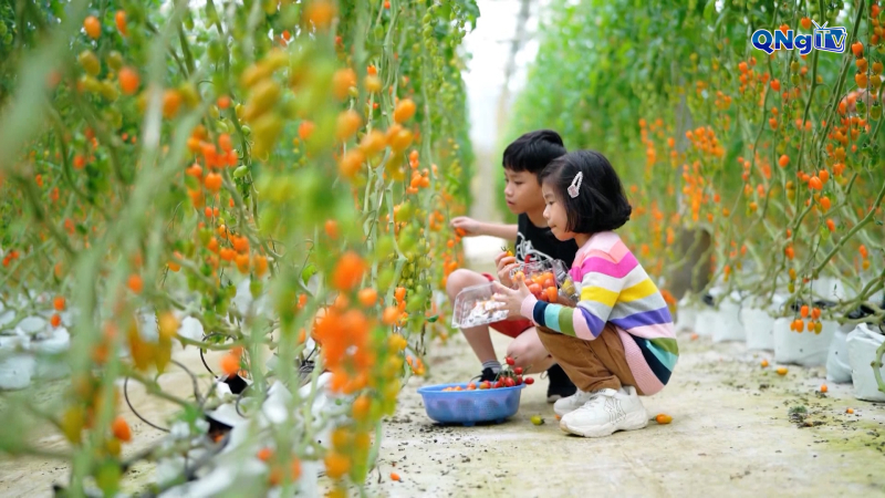 Phát triển các mô hình nông nghiệp kết hợp du lịch