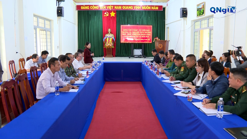 Chủ động ứng phó mưa, bão