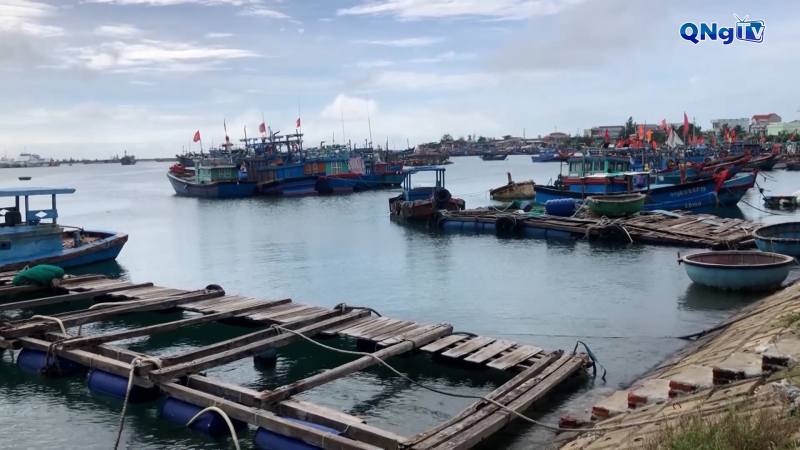 Dự báo đặc khu Lý Sơn chịu tác động gió bão mạnh nhất