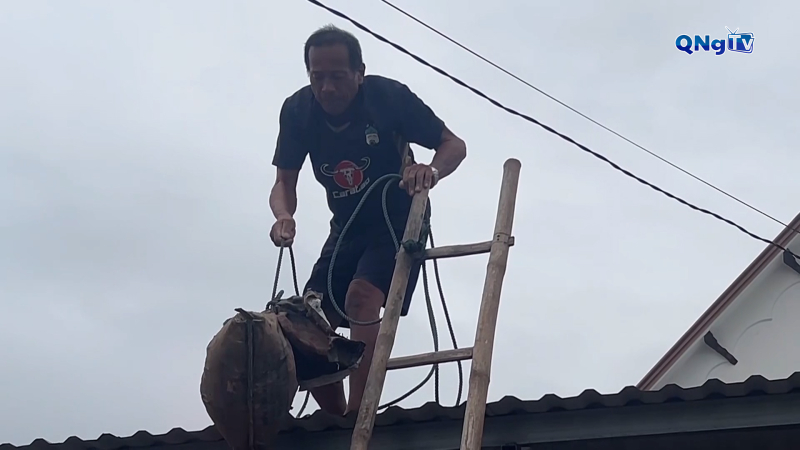 Người dân chủ động chằng chống nhà cửa phòng, chống bão số 13