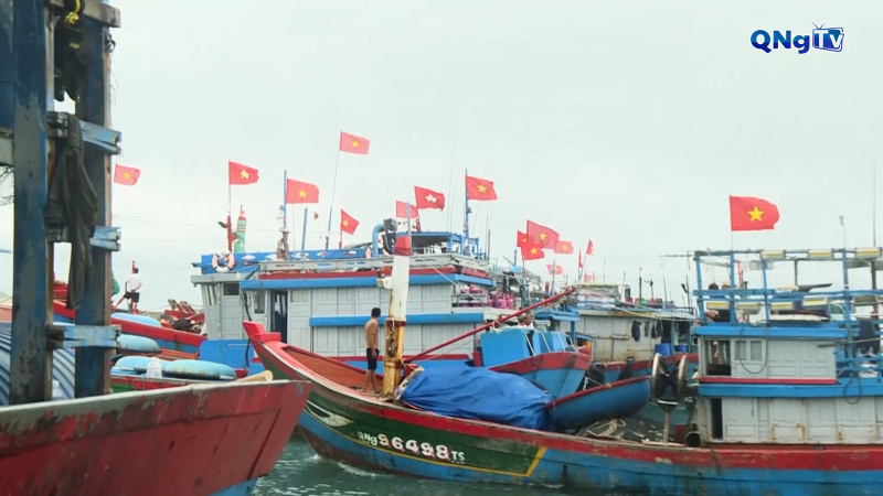 Đặc khu Lý Sơn đã có gió mạnh